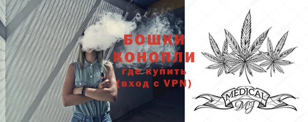 сатива Богородск