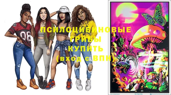 сатива Богородск