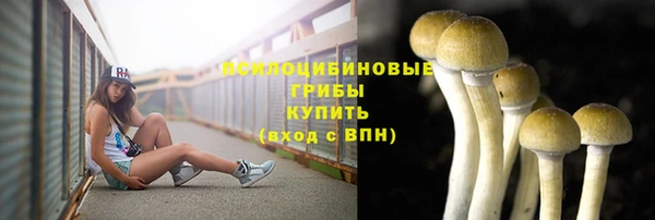 сатива Богородск