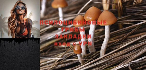 амф Белокуриха