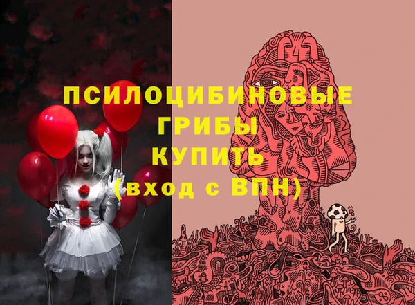 синтетический гашиш Богородицк